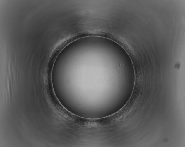 X0000094790587200711241403