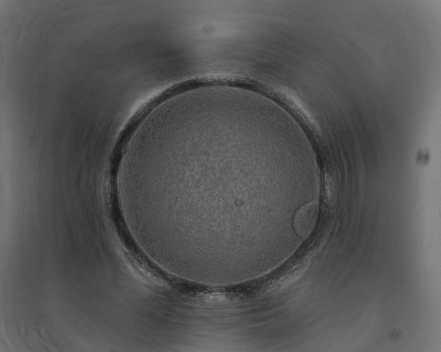 X0000094790588200711241403