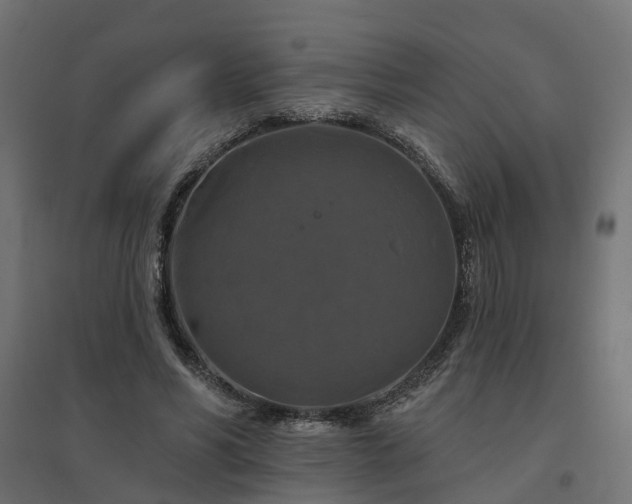 X0000094790590200711241403