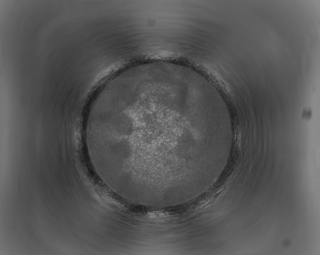 X0000094790591200711241403