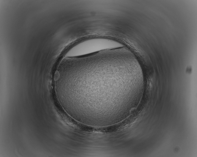 X0000094790592200711241403