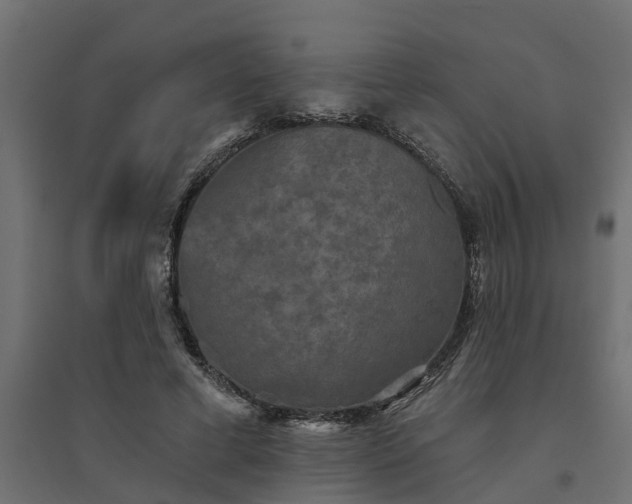 X0000094790593200711241403