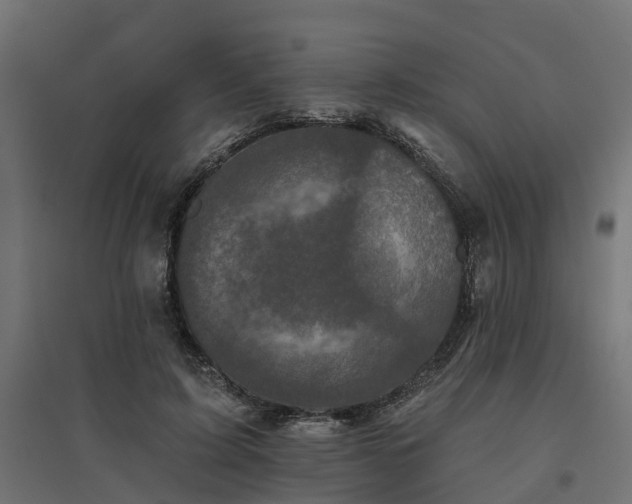 X0000094790595200711241403