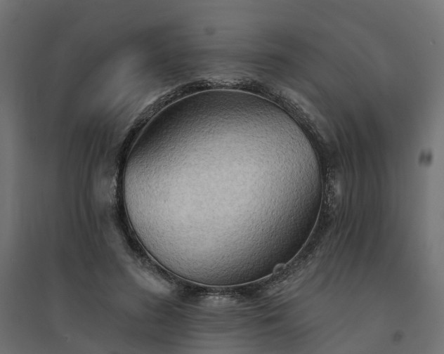 X0000094790596200711241403