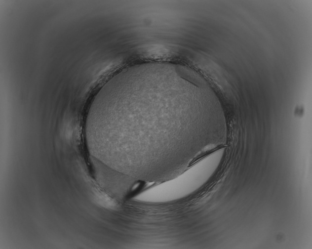 X0000094790597200711241403