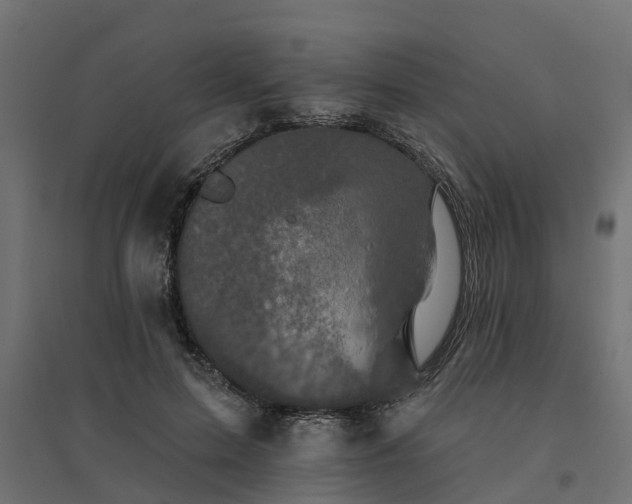 X0000094790599200711241403