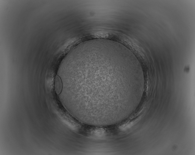 X0000094790600200711241403