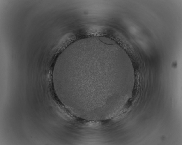 X0000094790601200711241403