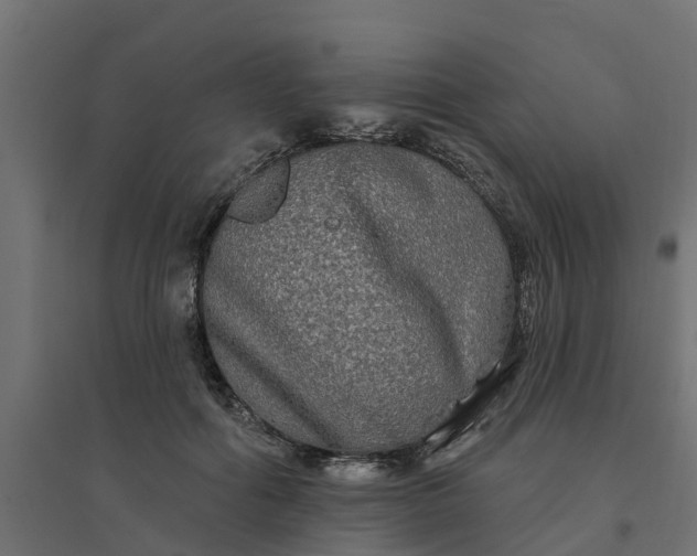 X0000094790602200711241403