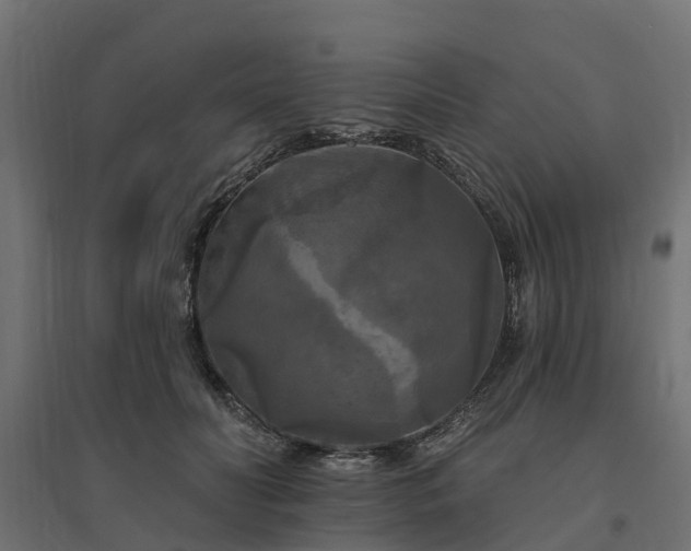 X0000094790606200711241403