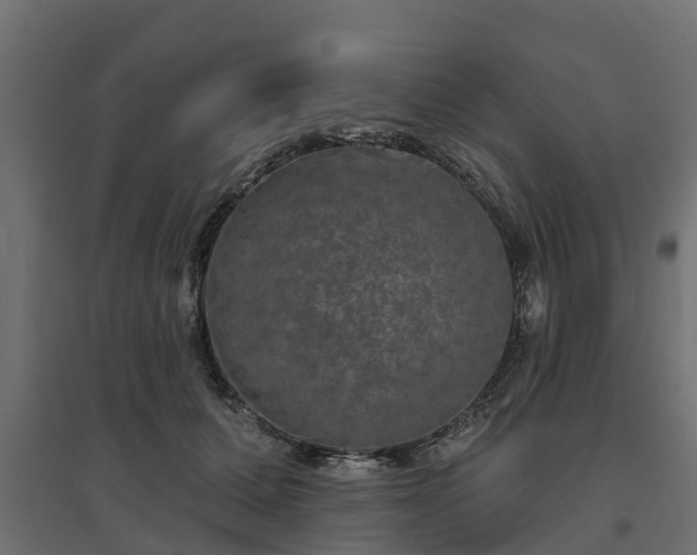 X0000094790607200711241403