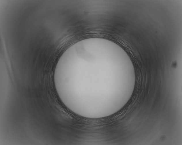 X0000094790609200711241403