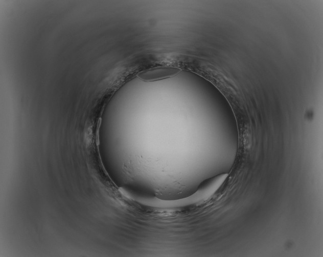 X0000094790611200711241403