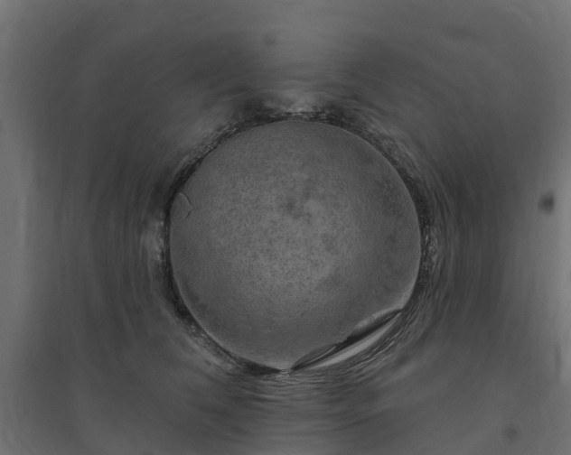 X0000094790612200711241403