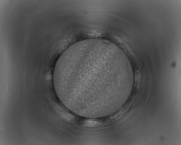 X0000094790614200711241403