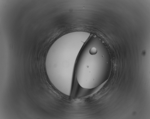 X0000094790617200711241403