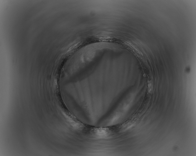 X0000094790618200711241403