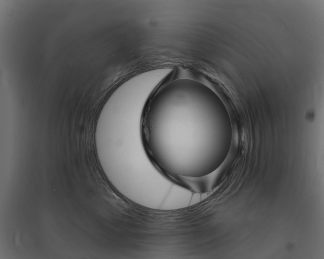 X0000094790621200711241403