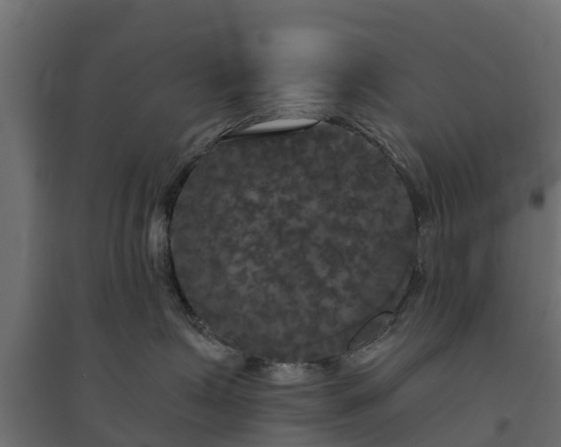 X0000094790623200711241403