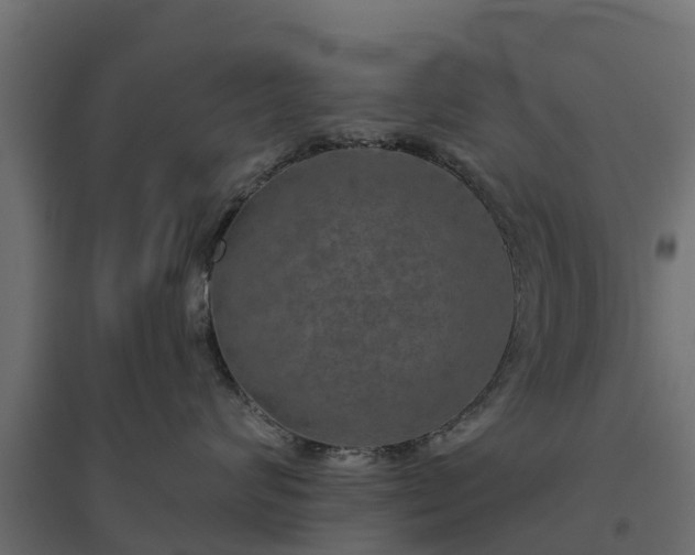 X0000094790624200711241403