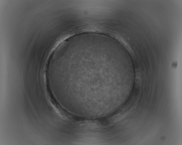 X0000094790626200711241402