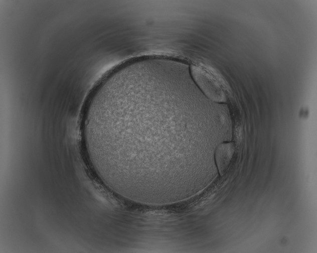 X0000094790628200711241402