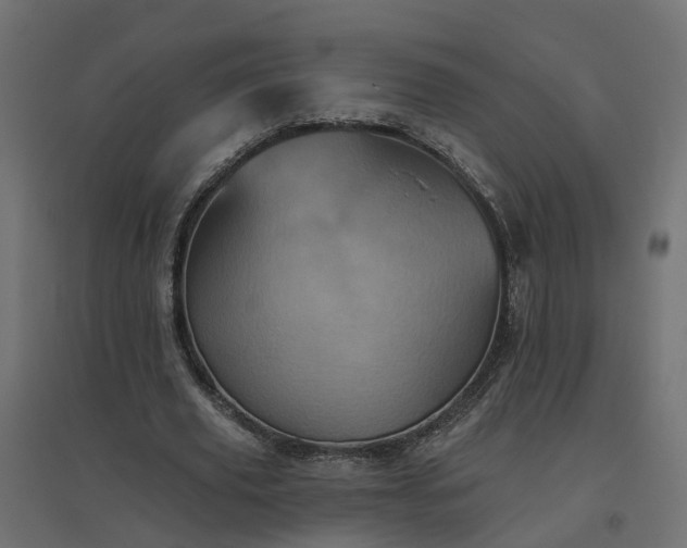 X0000094790629200711241402