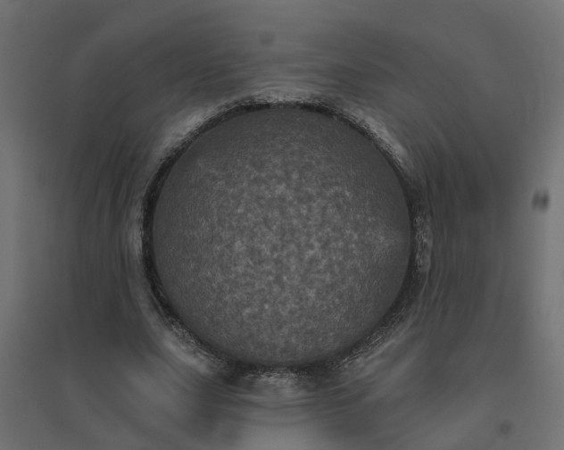 X0000094790631200711241402