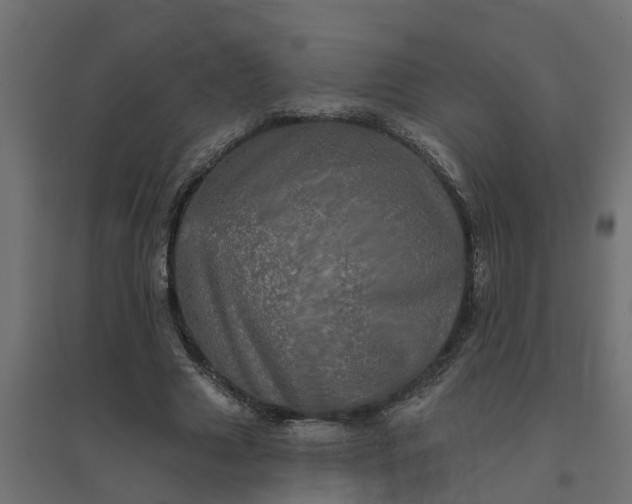 X0000094790633200711241402