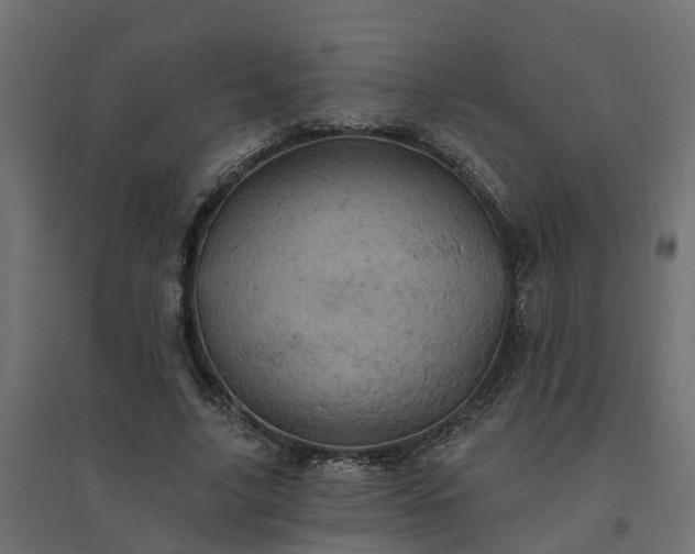 X0000094790635200711241402