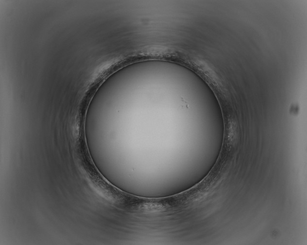 X0000094790636200711241402