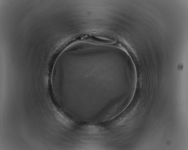 X0000094790637200711241402