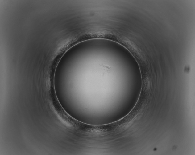 X0000094790638200711241402