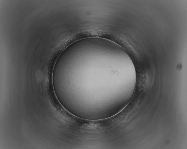 X0000094790639200711241402