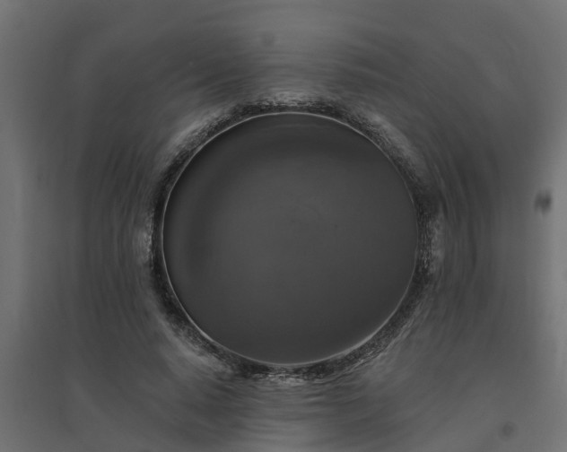 X0000094790640200711241402