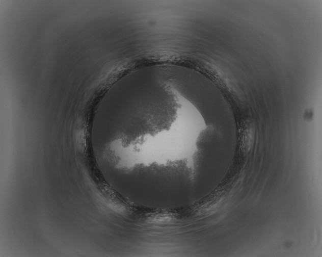 X0000094790643200711241402