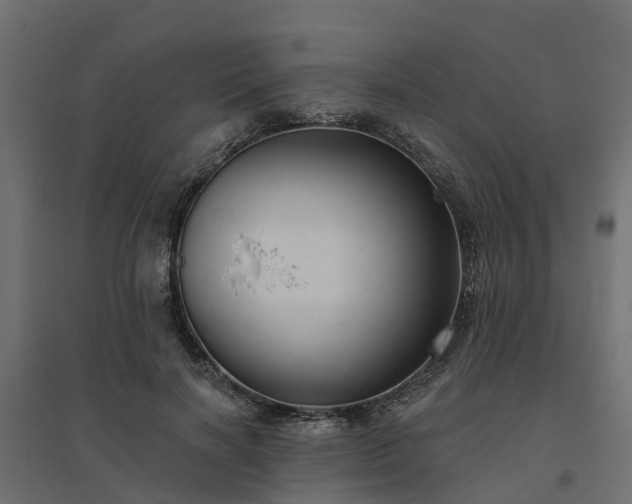 X0000094790646200711241402