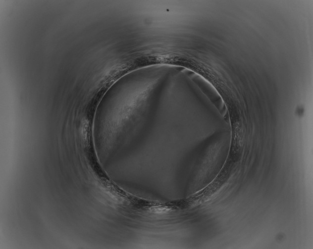 X0000094790650200711241402