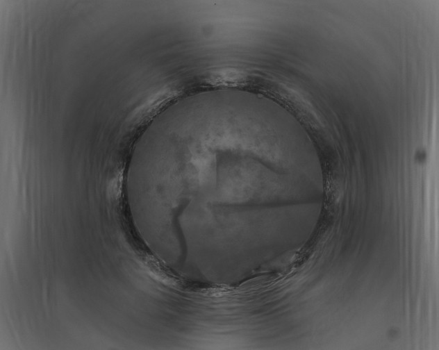 X0000094790652200711241402