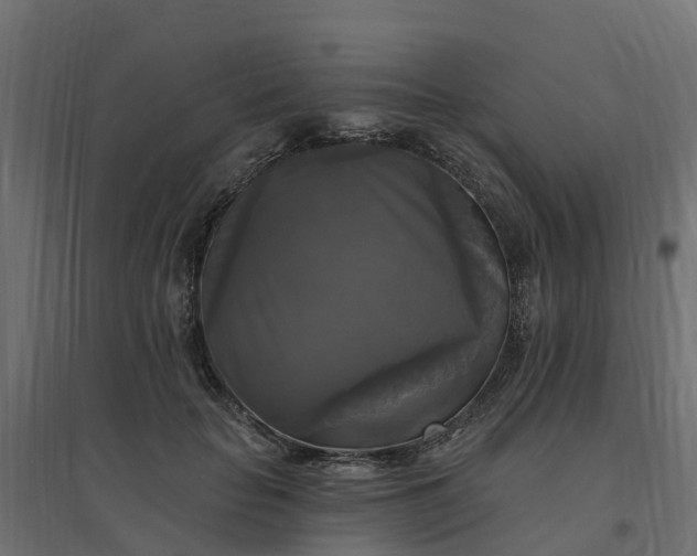 X0000094790653200711241402