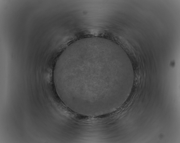 X0000094790656200711241403