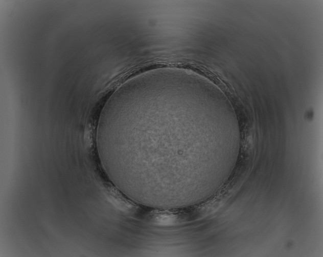 X0000094790658200711241403