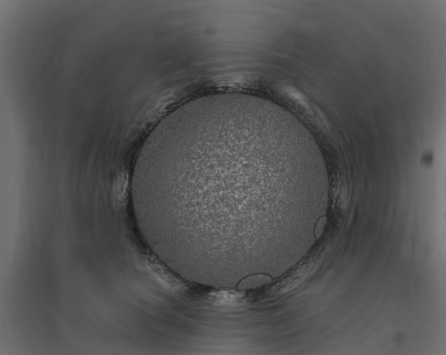 X0000094790660200711241403