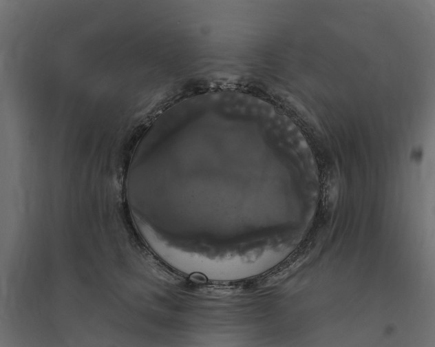 X0000094790661200711241403