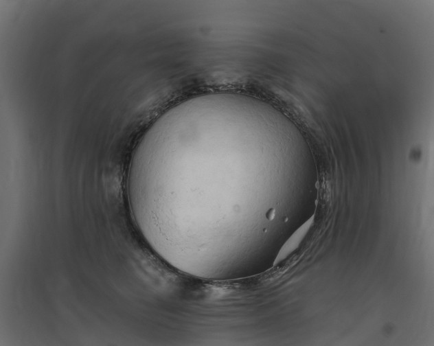 X0000094790662200711241403