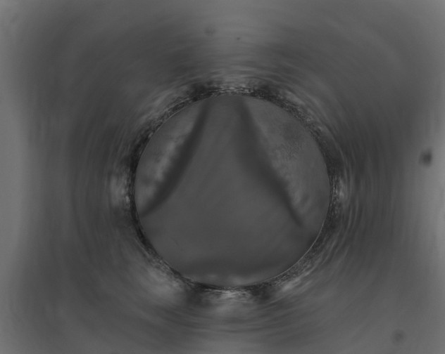 X0000094790663200711241403