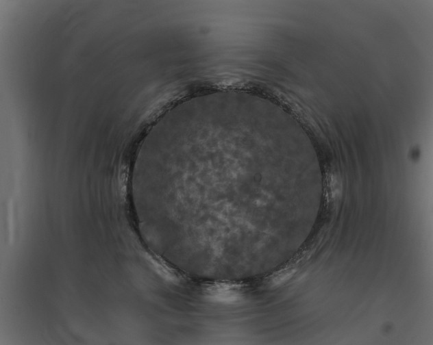 X0000094790664200711241403