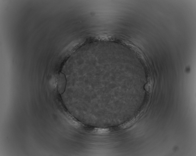 X0000094790665200711241403