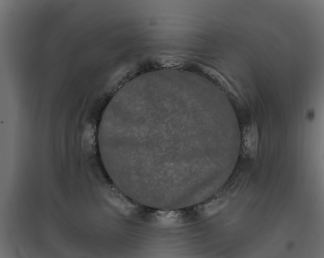 X0000094790667200711241403