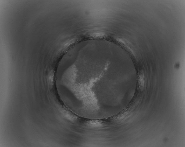 X0000094790668200711241403